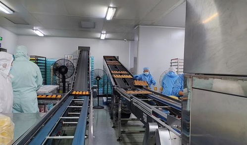 月饼卖不动了 记者走访上海代工厂 500种口味推陈出新,b端市场仍有潜力