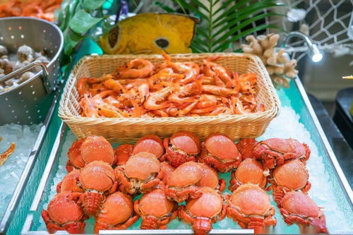 盛夏光年主题海鲜美食节 豪横仅168元,畅享200+高品质料理